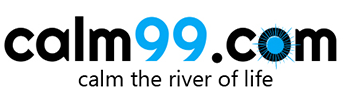 Navigator IT Solutions